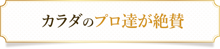 カラダのプロ達が絶賛する日野市のYT整体院